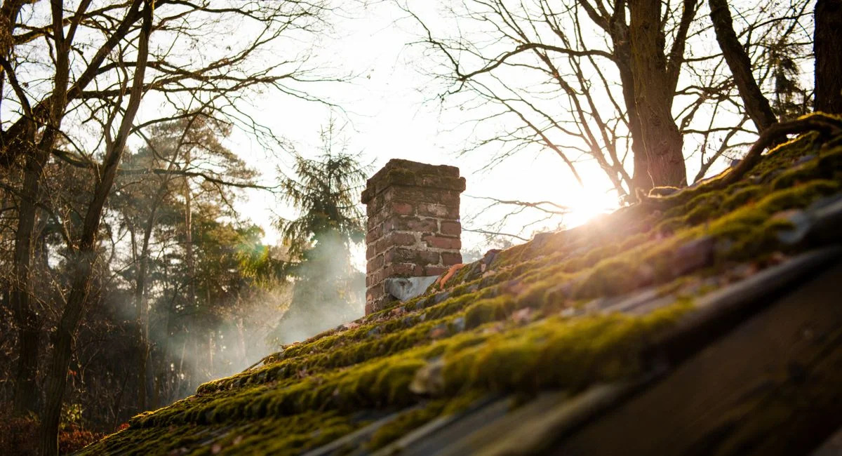 Sunlight shines through trees onto an old moss-covered roof with a brick chimney.