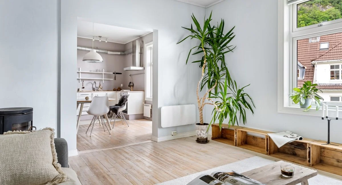 Bright and spacious modern living room with minimalist design, featuring natural light and indoor plants.