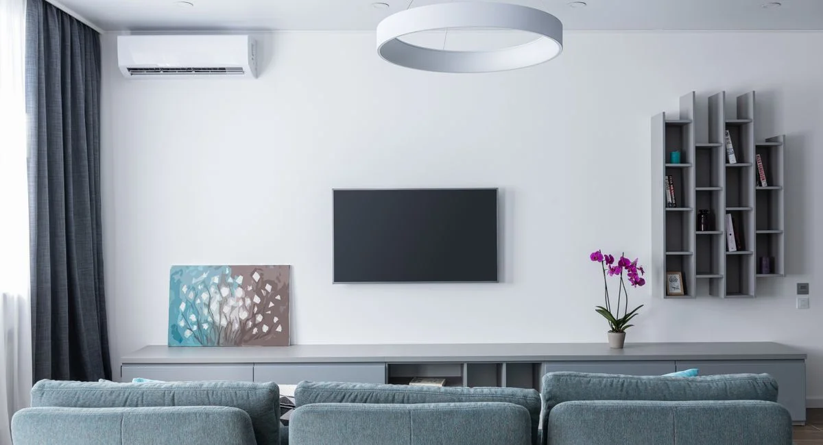 Contemporary living room with soft gray sofa and shelves decorating wall in daytime