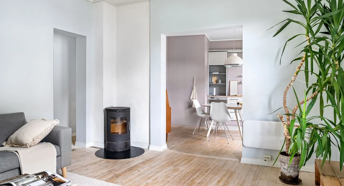 Stylish interior of a modern living room with a wood stove and houseplant.